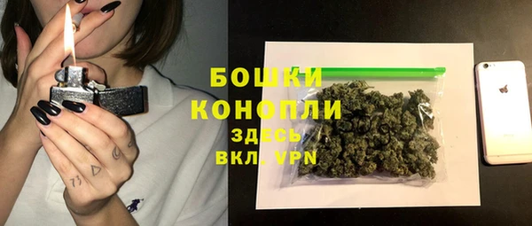 шишки Богородицк