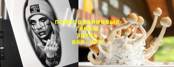 МДМА Бородино