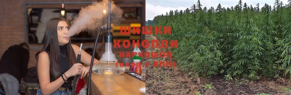 ECSTASY Бронницы