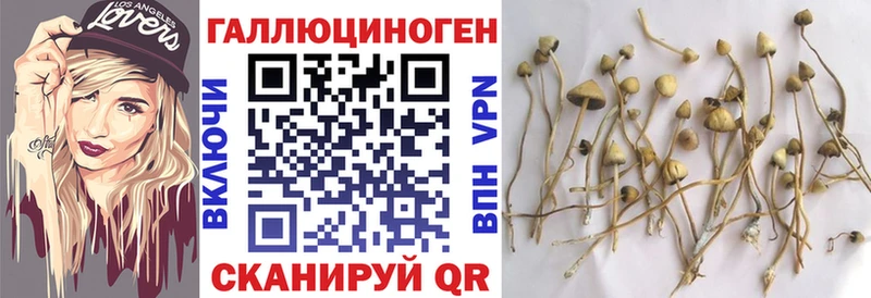 Псилоцибиновые грибы Magic Shrooms  Гуково 